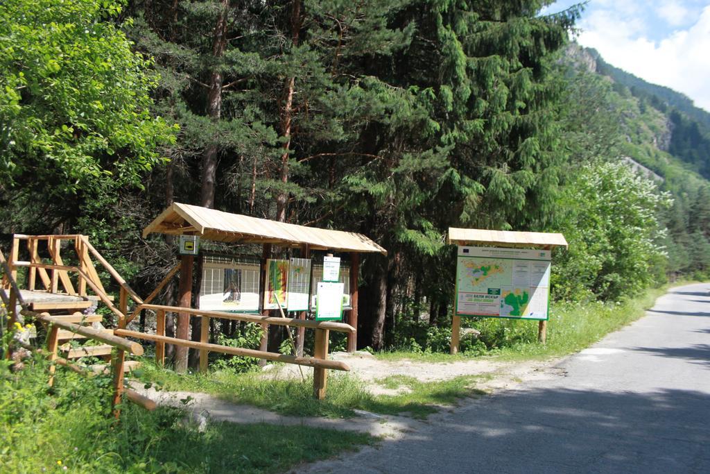 The Stone Villa Бели-Искыр Экстерьер фото