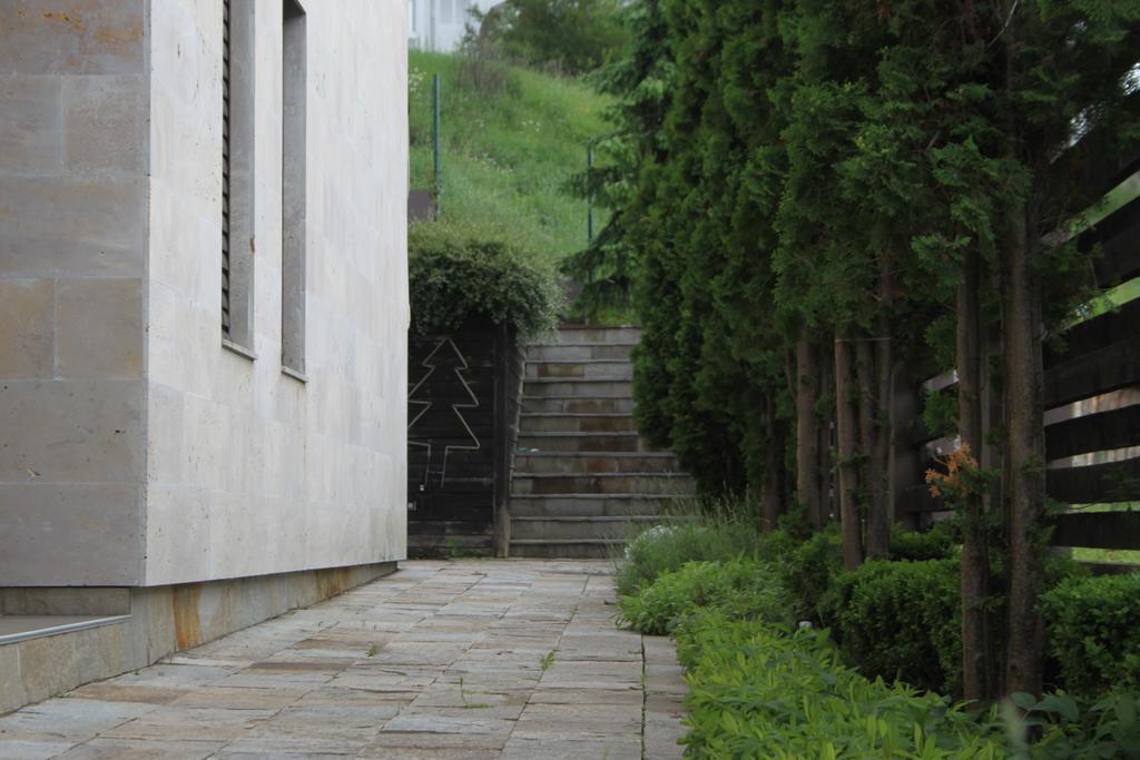 The Stone Villa Бели-Искыр Экстерьер фото